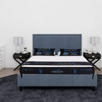 Premium Rosleen Memory Foam Mattress with pillow top Hotel layer USA Technology