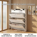 Minimalist Alloy & Ash Entry Shoe Cabinet Design