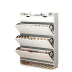 Minimalist Alloy & Ash Entry Shoe Cabinet Design