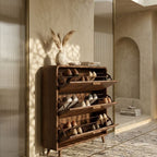 Sylvan Stealth Flip Shoe Cabinet Storage