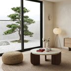 The Terra Marble Coffee Table styled in a minimalist Japandi living room featuring a neutral jute rug, a large bonsai tree, and natural light